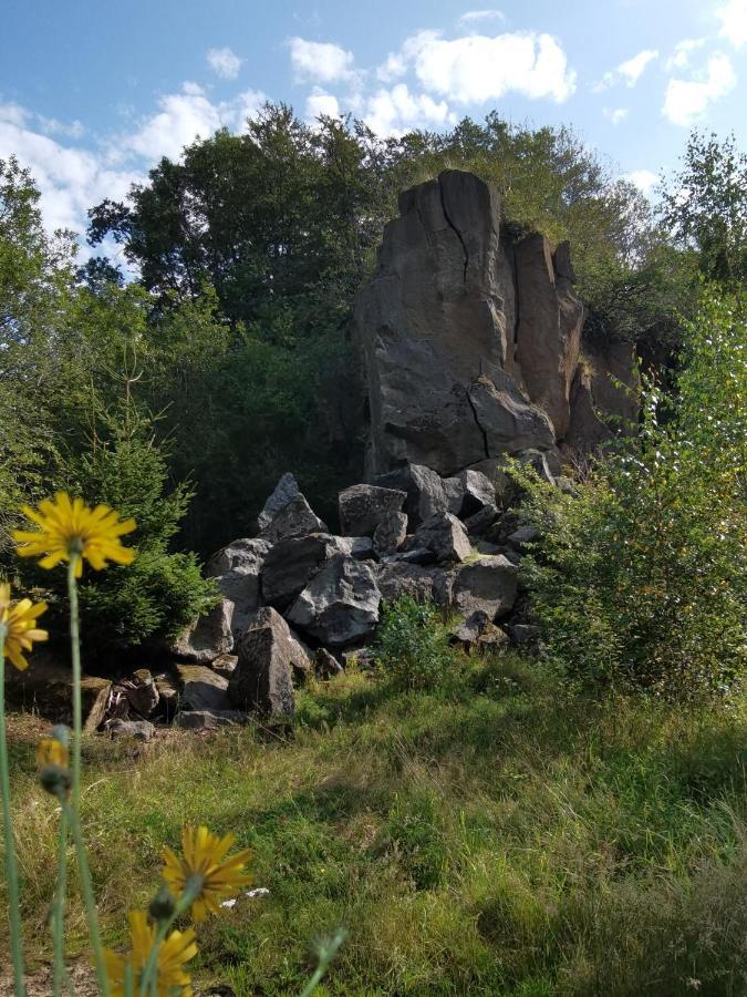 Hohenfels-Essingen Ferienhaus Waldblick מראה חיצוני תמונה